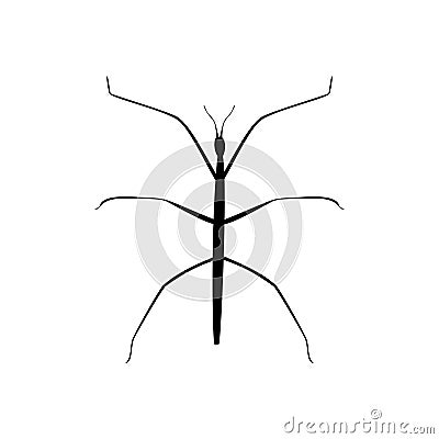 Stick insect black silhouette animal Vector Illustration