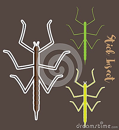 Stick Insects Vectors Vector Illustration