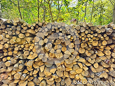 Stick of pieces of firewood - texture Stock Photo