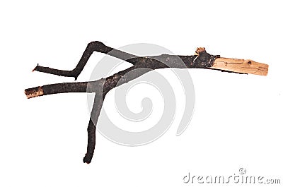 Stick or twig Stock Photo