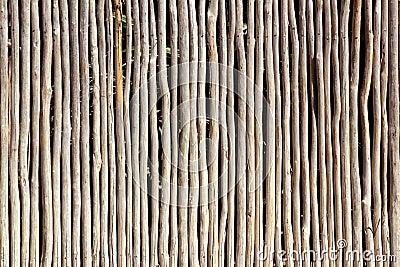 Stick white wood trunk fence tropical Mayan wall Stock Photo