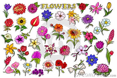 Sticker collection for colorful fresh flower Vector Illustration