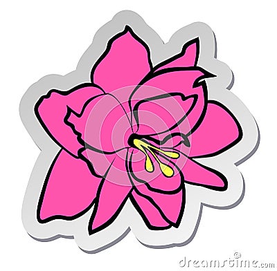 sticker of pink Amaryllis flower in flat cartoon style isolated on white background Vector Illustration