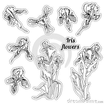 Stickers with bouquet and single buds of iris flowers. Hand drawn ink sketch. Collection of black objects Vector Illustration