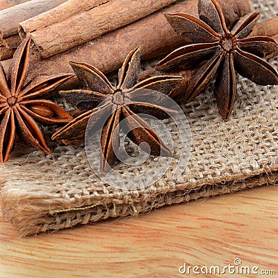 Sticks cinnamon and badian close up Stock Photo