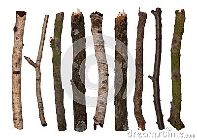 sticks-twigs-16402930.jpg