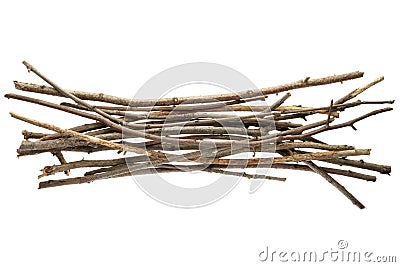Sticks and twigs Stock Photo