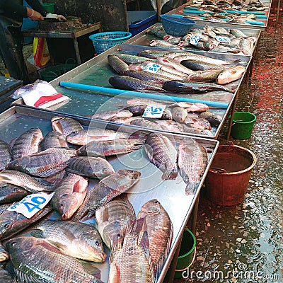 Fishes for sale in Khlong Toei Market, Bangkok, Thailand Stock Photo