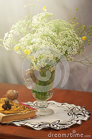 Still life with Apiaceae flowers and burgundy snail. Spring seasonal background Stock Photo