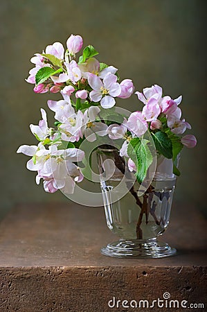 Still life with blossoming apple tree Stock Photo
