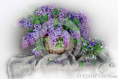 Still life with a bouquet of flowering lilac on a light lilac. Stock Photo