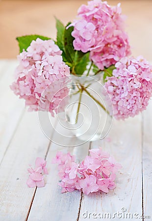 A still life with a bouquet of pink phloxes in a transparent vase against a wooden background. Stock Photo