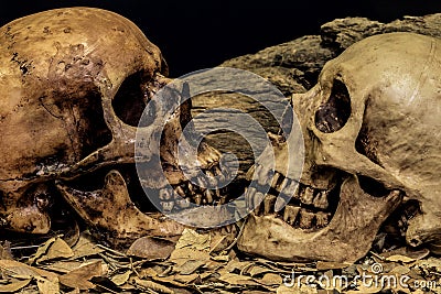 Still life couple human skull art abstract background Stock Photo