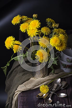 Still life with dandelions Stock Photo