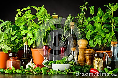 Still Life with Fresh Cooking Ingredients and Herbs Stock Photo