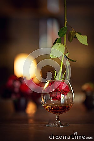 Still life with glass of cognac and a rose Stock Photo