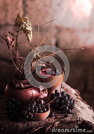 Still life grape dry flowers retro autumn plump bouguet vase wood decoration wine Stock Photo