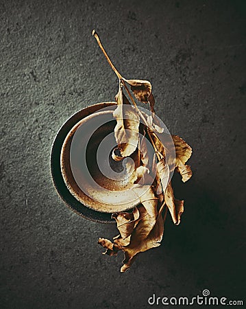 Still life with hand crafted japanese ceramic on stone background Stock Photo