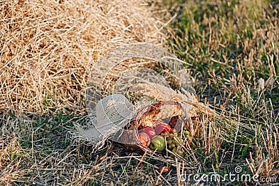 Still life with hat, bouquet, fruit in a basket in a field on hay. sunny summer weather Stock Photo