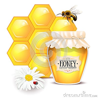 Still life with honey concept Cartoon Illustration