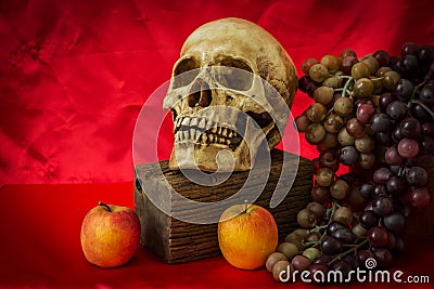 Still life with a human skull with fake apples and grapes Stock Photo