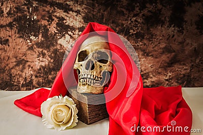 Still life with a human skull with a fake white rose Stock Photo