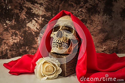 Still life with a human skull with a fake white rose Stock Photo