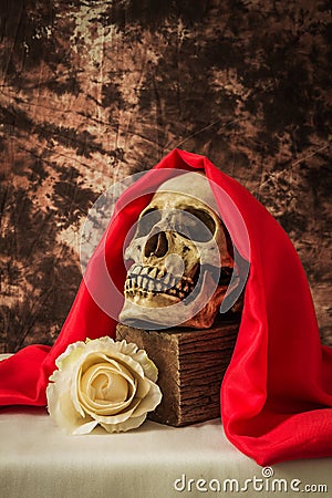 Still life with a human skull with a fake white rose Stock Photo