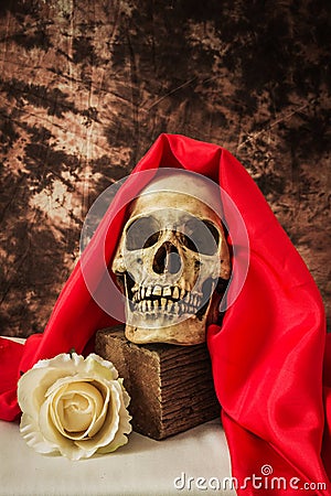 Still life with a human skull with a fake white rose Stock Photo