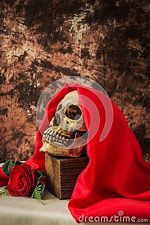 Still life with human skull with red rose Stock Photo