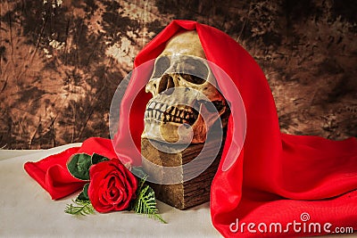 Still life with human skull with red rose Stock Photo