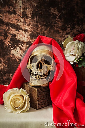 Still life with human skull with red rose and white rose Stock Photo