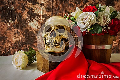 Still life with human skull with red rose and white rose Stock Photo