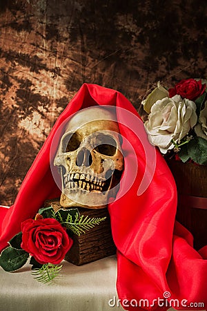 Still life with human skull with red rose and white rose Stock Photo