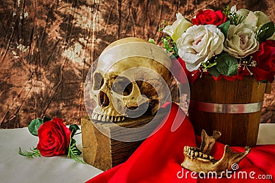 Still life with human skull with red rose and white rose Stock Photo