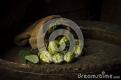 Still Life with a keg of beer. Stock Photo