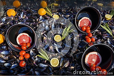 Still life of mussel shells, grapefruit, tomatoes, lemons and tangerines Stock Photo