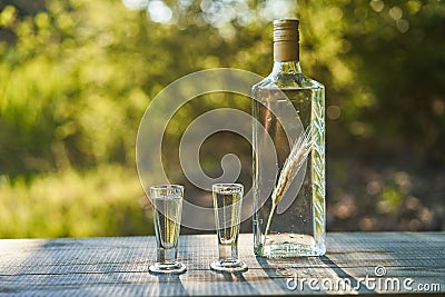 Still life picture of two vintage shot glasses and bottle of Polish vodka. Stock Photo