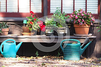 Still life of pots, flowers, and water containers. Stock Photo