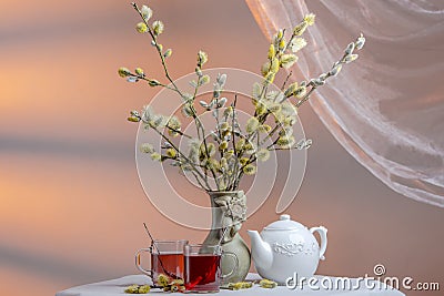 Still life with willow, two glass cups of tea and porcelain kettle Stock Photo