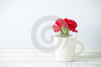 Still life with red Carnation flower Stock Photo