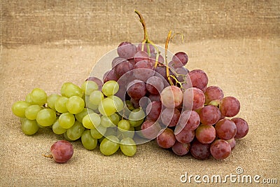 Still life with red and green ripe grapes Stock Photo