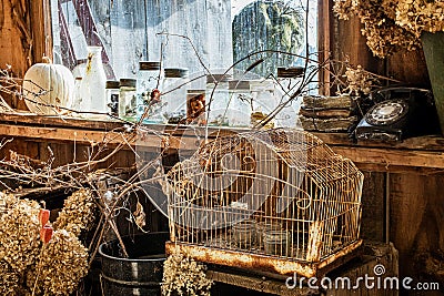 Still life, rusted bird cage, glass jars Stock Photo