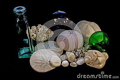 Still Life of Seashells, Bottle, and Glass Floats Stock Photo