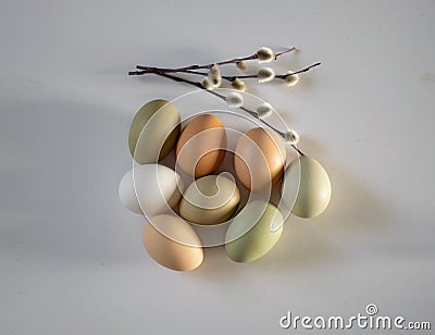 still life with simple chicken eggs, soft pastel colors, natural color chicken eggs, flowers, Easter concept Stock Photo