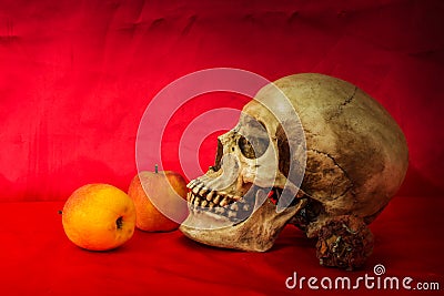 Still life with skull human with apples Stock Photo