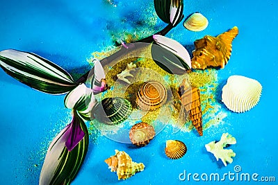 Still life of stylized shells and conch snails Stock Photo