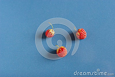 Still life of three wild strawberries on blue ceramic tiles with dust texture and reflection. Side view from above. Forest strawb Stock Photo