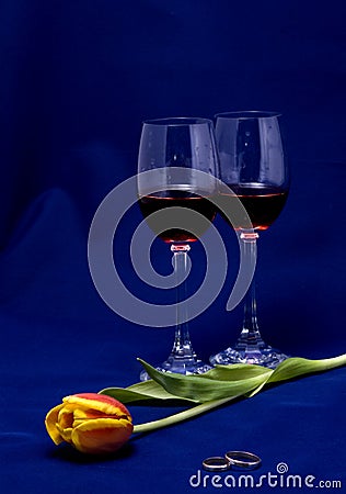 Still-life with a tulip, wedding rings Stock Photo