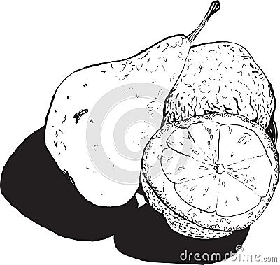 Still , pear and lemon halves , hand-drawn style graphics quality black and white . Transferred texture lemon and small bumps and Vector Illustration